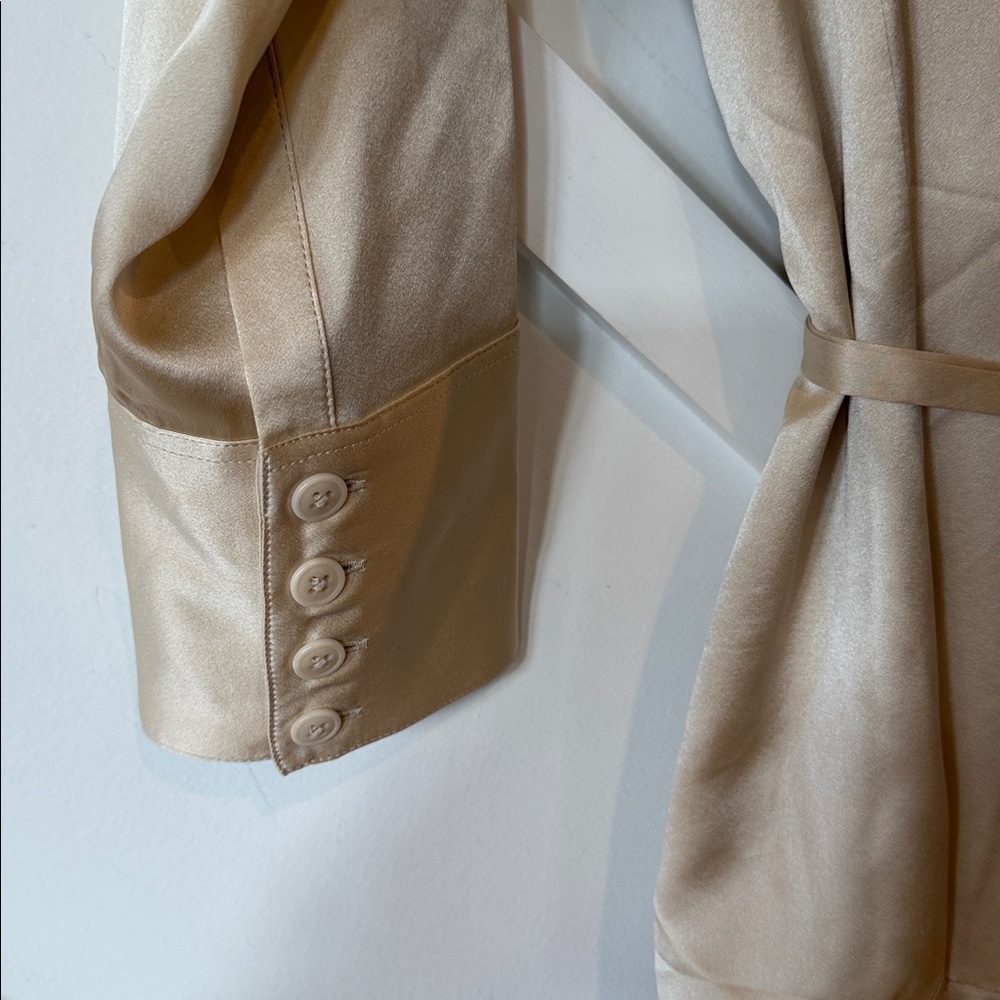 Reformation Silk Button-Up Blouse in Champagne - Picture 6 of 7